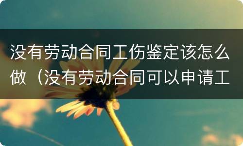 没有劳动合同工伤鉴定该怎么做（没有劳动合同可以申请工伤鉴定吗）