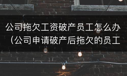 公司拖欠工资破产员工怎么办（公司申请破产后拖欠的员工工资怎么办）