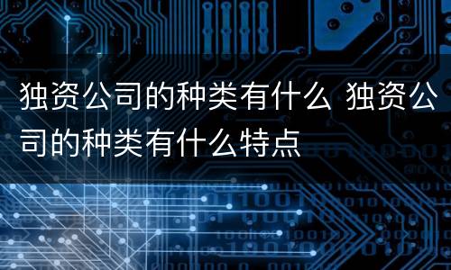 独资公司的种类有什么 独资公司的种类有什么特点