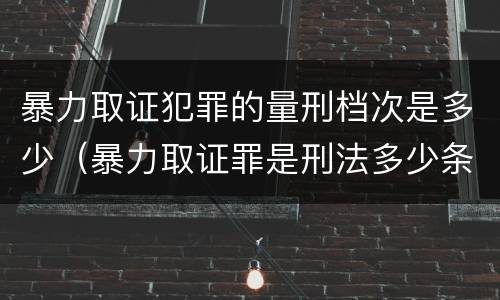 暴力取证犯罪的量刑档次是多少（暴力取证罪是刑法多少条）