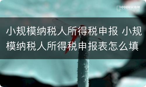 小规模纳税人所得税申报 小规模纳税人所得税申报表怎么填
