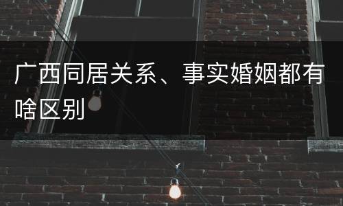 广西同居关系、事实婚姻都有啥区别