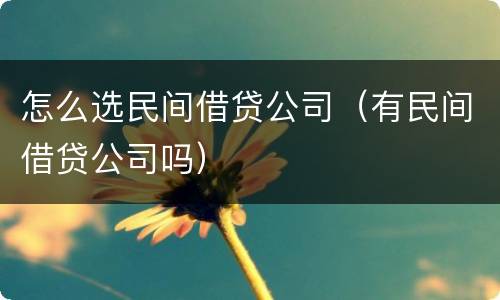 怎么选民间借贷公司（有民间借贷公司吗）