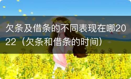 欠条及借条的不同表现在哪2022（欠条和借条的时间）