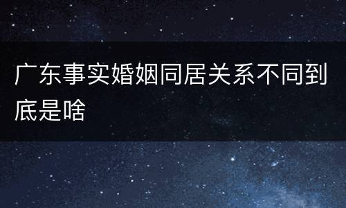 广东事实婚姻同居关系不同到底是啥