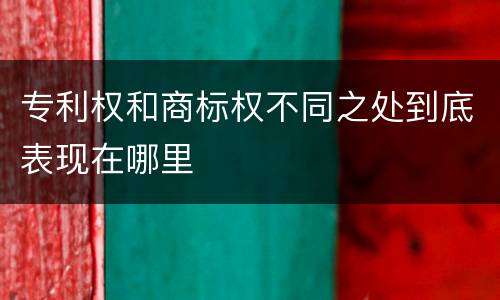 专利权和商标权不同之处到底表现在哪里