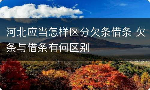 河北应当怎样区分欠条借条 欠条与借条有何区别