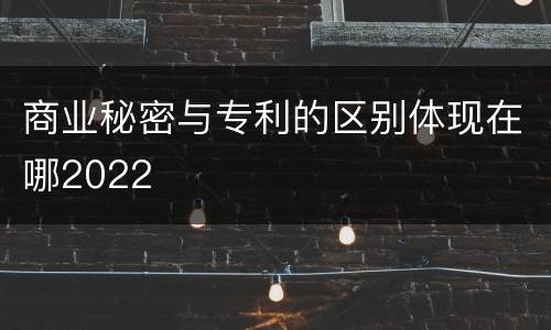 商业秘密与专利的区别体现在哪2022
