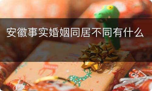 安徽事实婚姻同居不同有什么