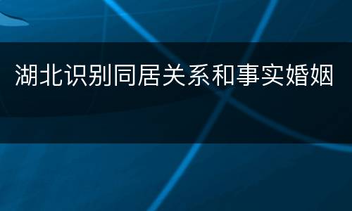 湖北识别同居关系和事实婚姻