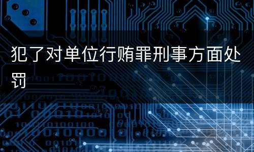 犯了对单位行贿罪刑事方面处罚
