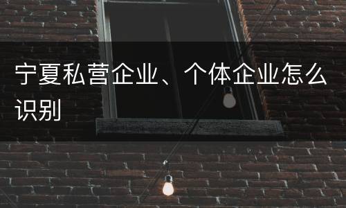 宁夏私营企业、个体企业怎么识别