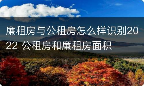 廉租房与公租房怎么样识别2022 公租房和廉租房面积