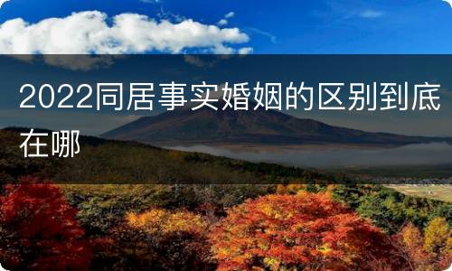 2022同居事实婚姻的区别到底在哪
