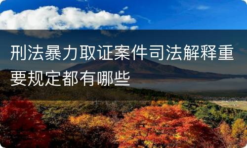 刑法暴力取证案件司法解释重要规定都有哪些