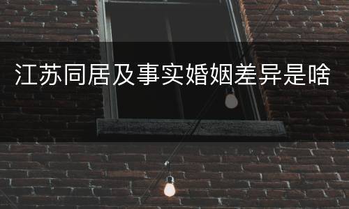 江苏同居及事实婚姻差异是啥