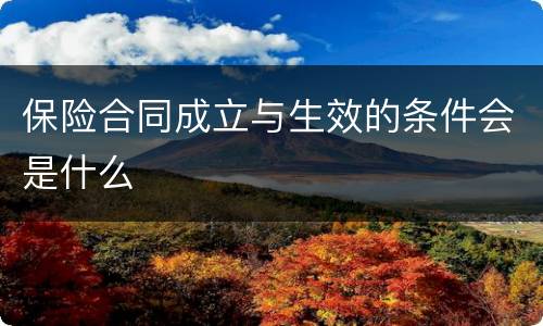 保险合同成立与生效的条件会是什么