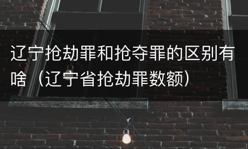 辽宁抢劫罪和抢夺罪的区别有啥(辽宁省抢劫罪数额)