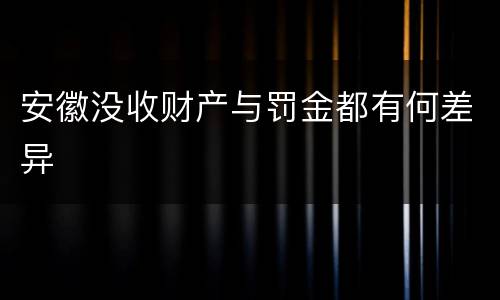 安徽没收财产与罚金都有何差异