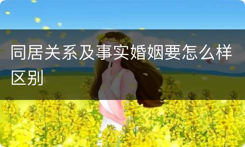 同居关系及事实婚姻要怎么样区别