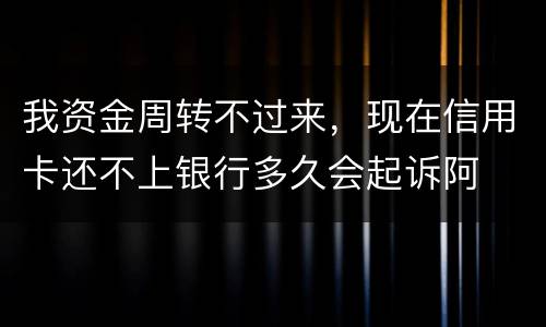 我资金周转不过来，现在信用卡还不上银行多久会起诉阿