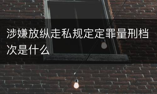涉嫌放纵走私规定定罪量刑档次是什么
