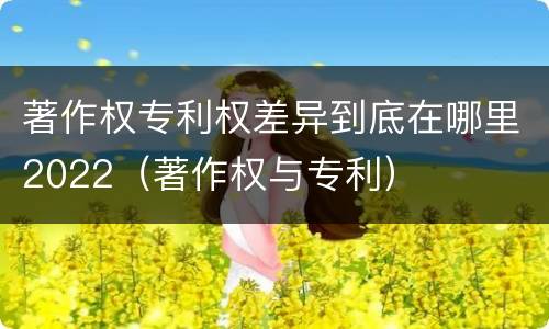 著作权专利权差异到底在哪里2022（著作权与专利）