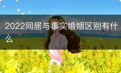 2022同居与事实婚姻区别有什么