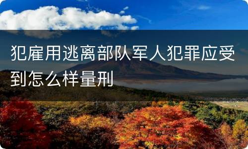 犯雇用逃离部队军人犯罪应受到怎么样量刑
