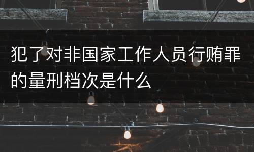 犯了对非国家工作人员行贿罪的量刑档次是什么