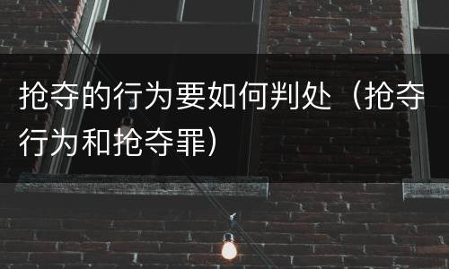 抢夺的行为要如何判处（抢夺行为和抢夺罪）