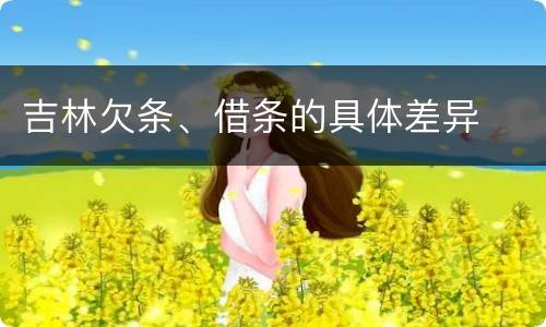 吉林欠条、借条的具体差异