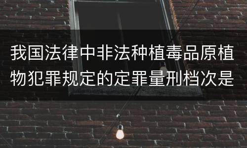 我国法律中非法种植毒品原植物犯罪规定的定罪量刑档次是什么