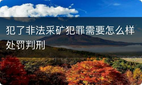 犯了非法采矿犯罪需要怎么样处罚判刑