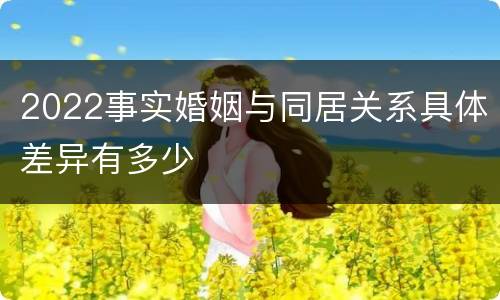 2022事实婚姻与同居关系具体差异有多少