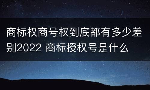 商标权商号权到底都有多少差别2022 商标授权号是什么
