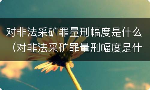 对非法采矿罪量刑幅度是什么（对非法采矿罪量刑幅度是什么规定）