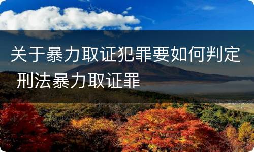 关于暴力取证犯罪要如何判定 刑法暴力取证罪