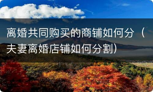 离婚共同购买的商铺如何分（夫妻离婚店铺如何分割）