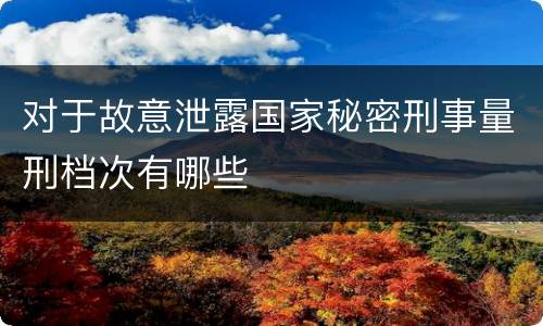 对于故意泄露国家秘密刑事量刑档次有哪些