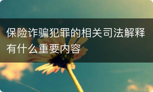保险诈骗犯罪的相关司法解释有什么重要内容