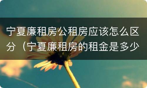宁夏廉租房公租房应该怎么区分（宁夏廉租房的租金是多少钱）
