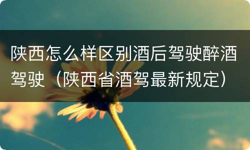 陕西怎么样区别酒后驾驶醉酒驾驶（陕西省酒驾最新规定）