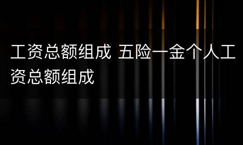 工资总额组成 五险一金个人工资总额组成