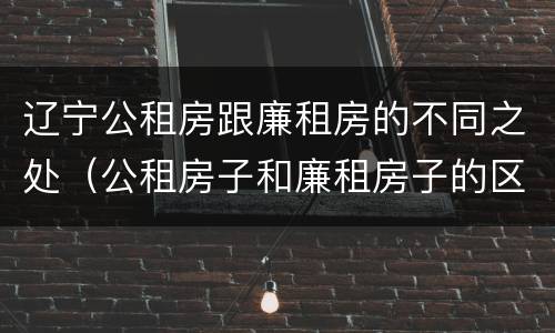 辽宁公租房跟廉租房的不同之处（公租房子和廉租房子的区别）