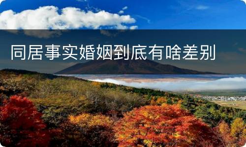 同居事实婚姻到底有啥差别