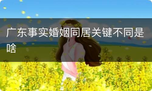 广东事实婚姻同居关键不同是啥
