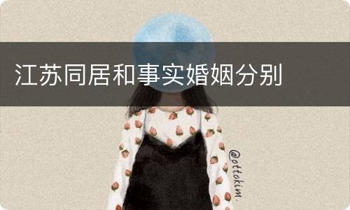 江苏同居和事实婚姻分别