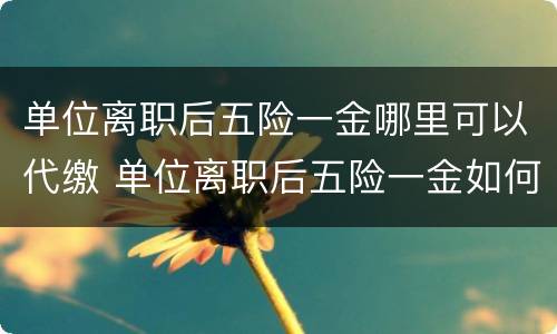 单位离职后五险一金哪里可以代缴 单位离职后五险一金如何自己缴纳