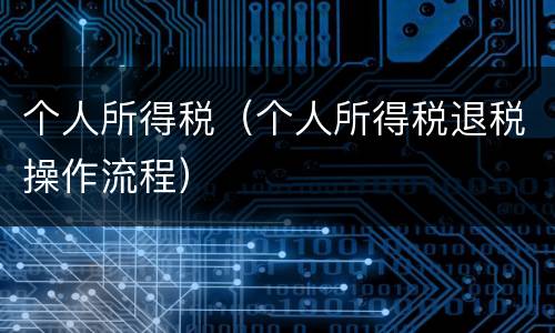 个人所得税（个人所得税退税操作流程）